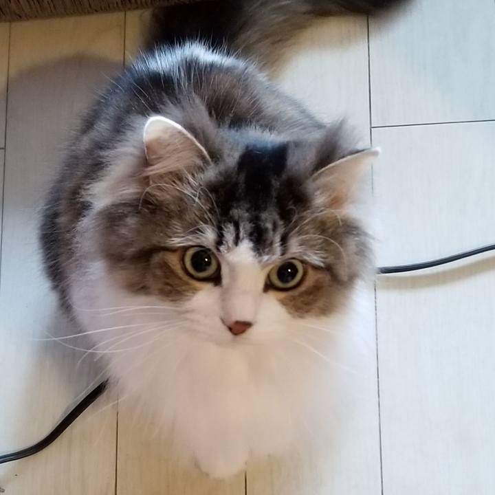 55ad1a20 7ed2 4ff5 98c7 72275709704e 1552261839064