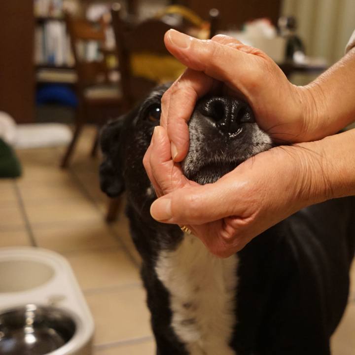 55ad3e1d ef23 4492 8eca 3f68b5353a40 1762340933845