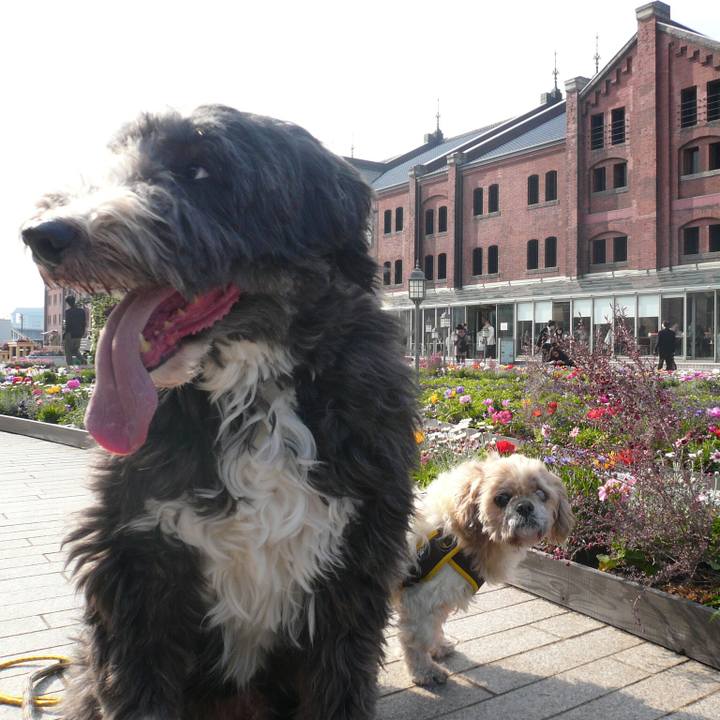 55ad450f 432a 4b55 ad82 ba783f95c8d9 1521364992090