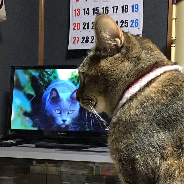 55ad545f 2d83 4d4b a55d a46364dccdb7 1668684332971