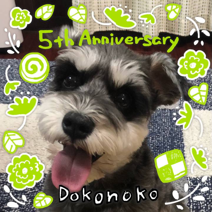 55ada085 49ee 4c40 9a8e 7f93b419992b 1622888948513