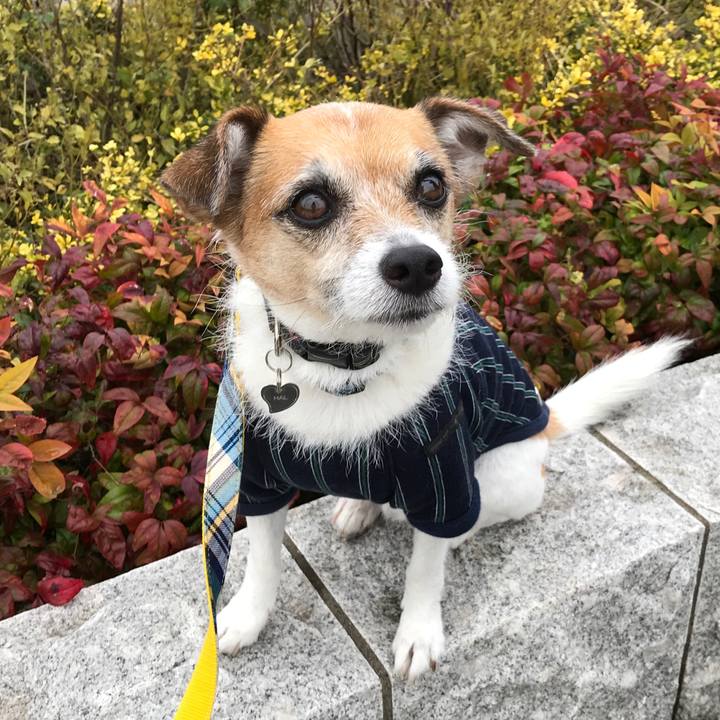 55adae1f 6ae1 4b05 807d 7c01177b2d06 1574577625069