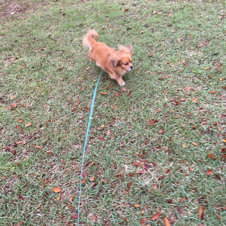 55add6c2 e770 431a a30e 1087518f11aa 1602456495544