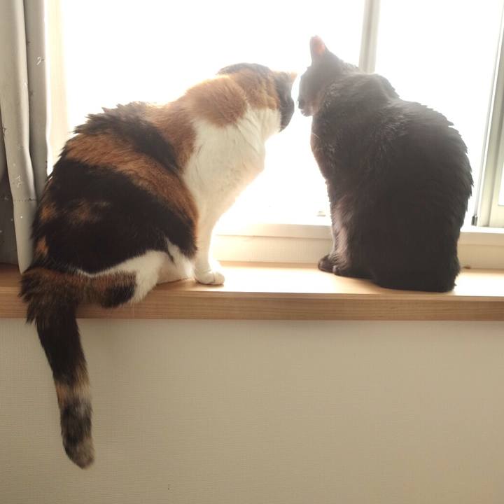 55ae09d7 ebc7 49f8 be5f 9ef618386acf 1562805856951