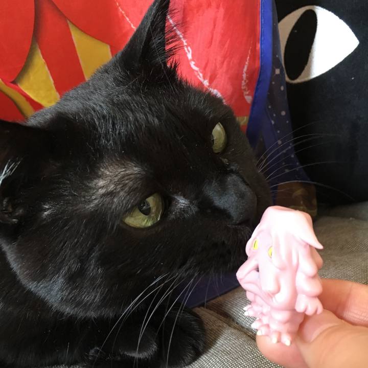 55ae5914 d033 4bb5 82b0 f5f8881edc13 1509065076499