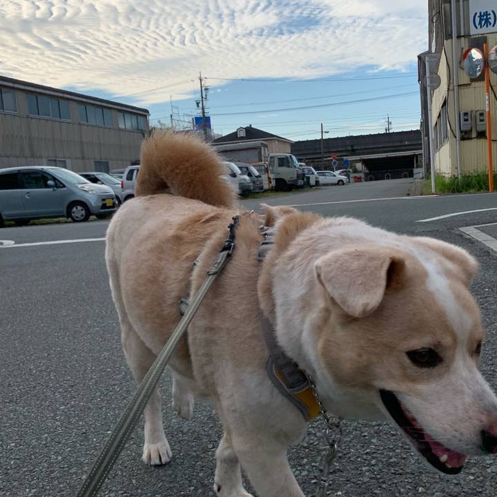 55ae66a9 4a3a 470d a56e 033a6eaf1e14 1569823380821