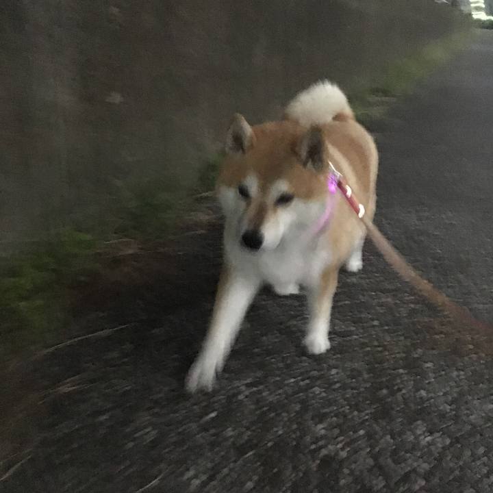 55aed7bb 591c 4783 8cbb 006b61de6258 1569231946502