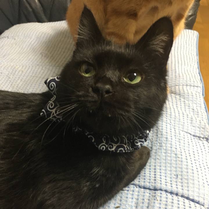 55aedf32 4d54 4e19 a8a0 b45c5e7fe413 1544788826046