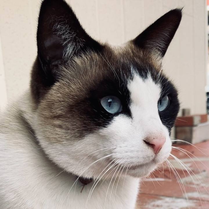 55af29b1 672e 4727 b310 4891e5a81dd7 1742471481664