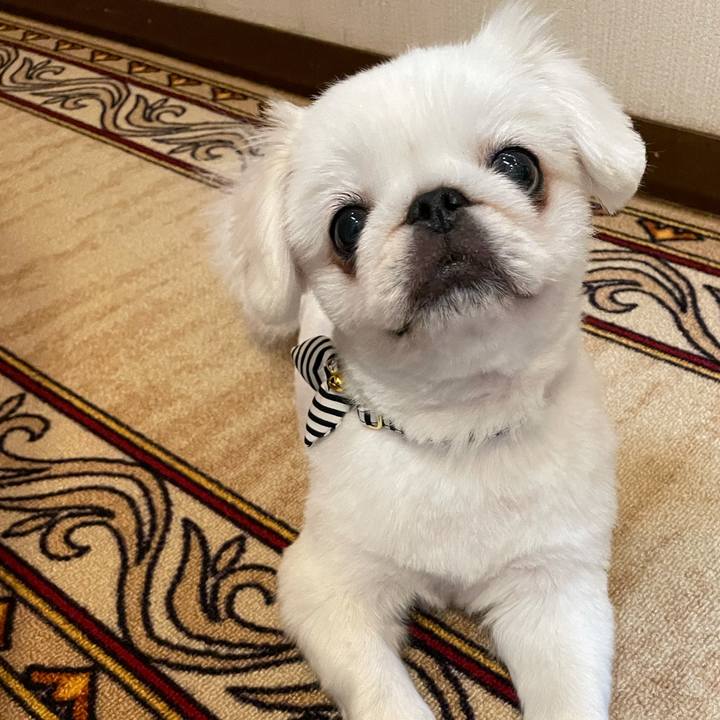 55af5f36 cb35 4970 97ed d8591a5c29a1 1651738044452