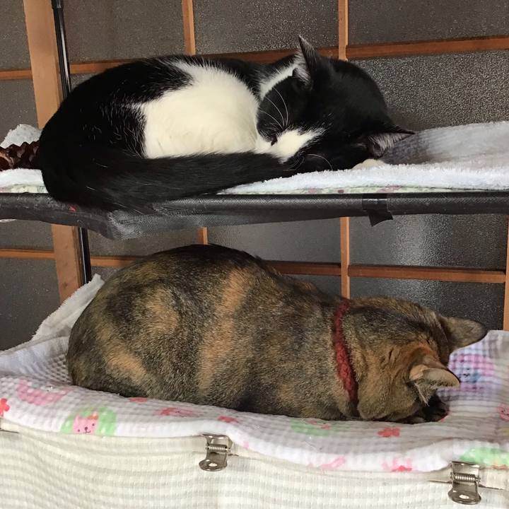 55af7e03 9df1 45d6 9cbc fde81f6773c8 1642469351778