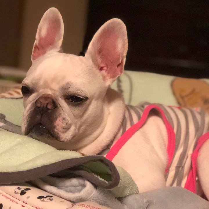 55afa52d e547 4eeb 9d12 66399e0a61a9 1552919002543