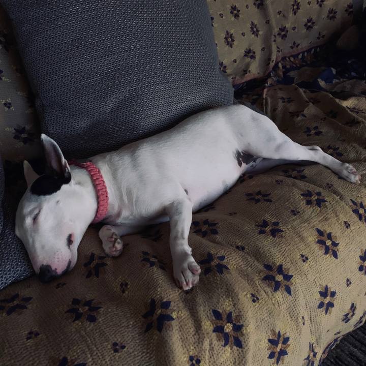 55afe690 78ff 4ac1 9fc2 d08d40d2fe08 1591598098202