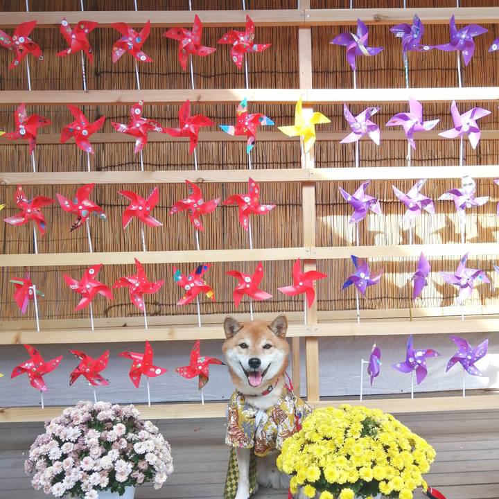 55b0367f a9a5 4c34 8b9d 9a872ce6cca4 1667963860943