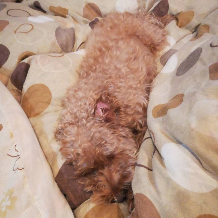 55b05301 c1ab 47e2 bde7 8a9660708313 1540299054437