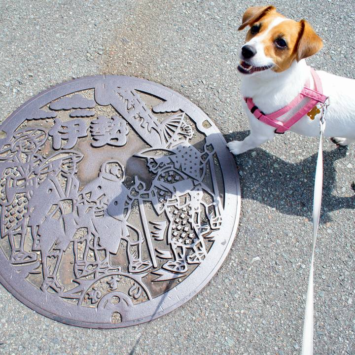 55b0595c ffb1 49a7 9a0d f9391dc60289 1735995059580