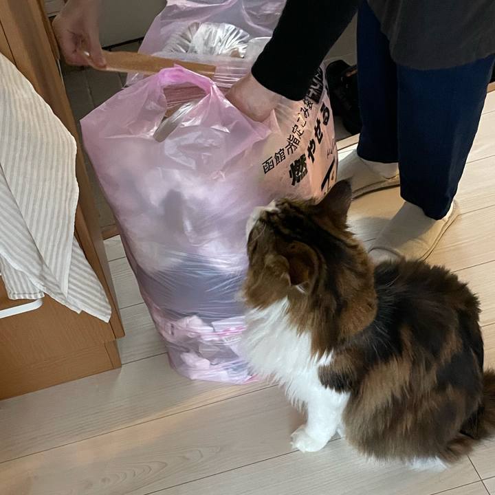 55b062ec da71 45c7 9820 48896d9f3811 1736111203401