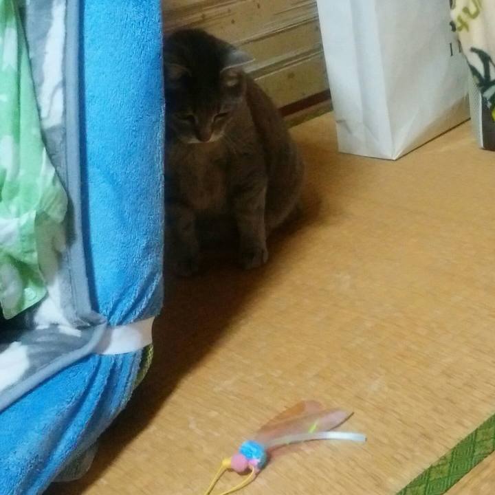 55b06da7 ab2b 447f 9cf3 5b1826e5cbe2 1522774209514