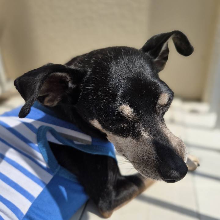 55b075ac bef4 4c8c 8480 7d2825a374fd 1756702652321