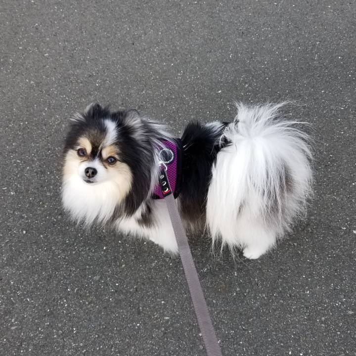 55b09b58 64a4 41f9 ab22 e7bf668c40cc 1584692661746