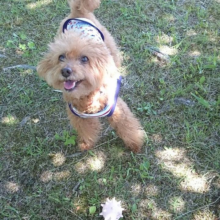 55b0e96d 90f6 49f3 b856 332bda40db42 1529628151244