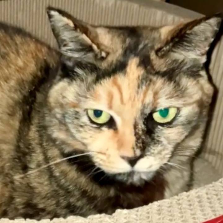 55b0ebf4 f5f4 4fe6 8425 6d6e053fd40a 1741639646602