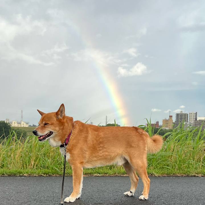 55b0ee59 9b73 4760 a06c 19fe15fe2df2 1752745394674