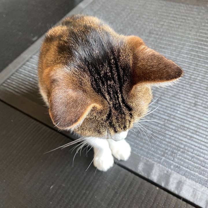 55b0eefd 565a 47e3 aa5b 02642def8cb5 1586301571265