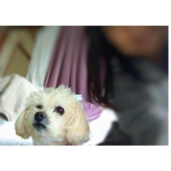 55b0f8e2 16f2 4666 a1ae 1cbbdcfadd85 1679189927375