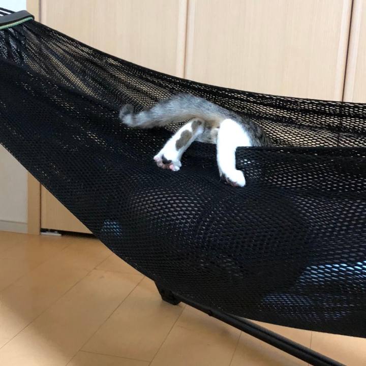 55b1287a e09b 46c1 b391 c556380157c3 1571322836871