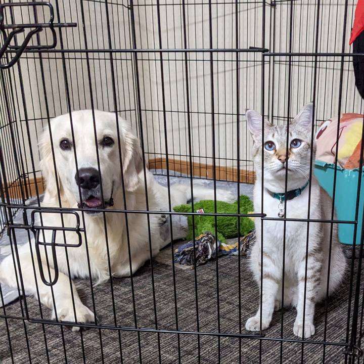 55b13a5a 3685 4aee ace6 e897c96515db 1759925285853