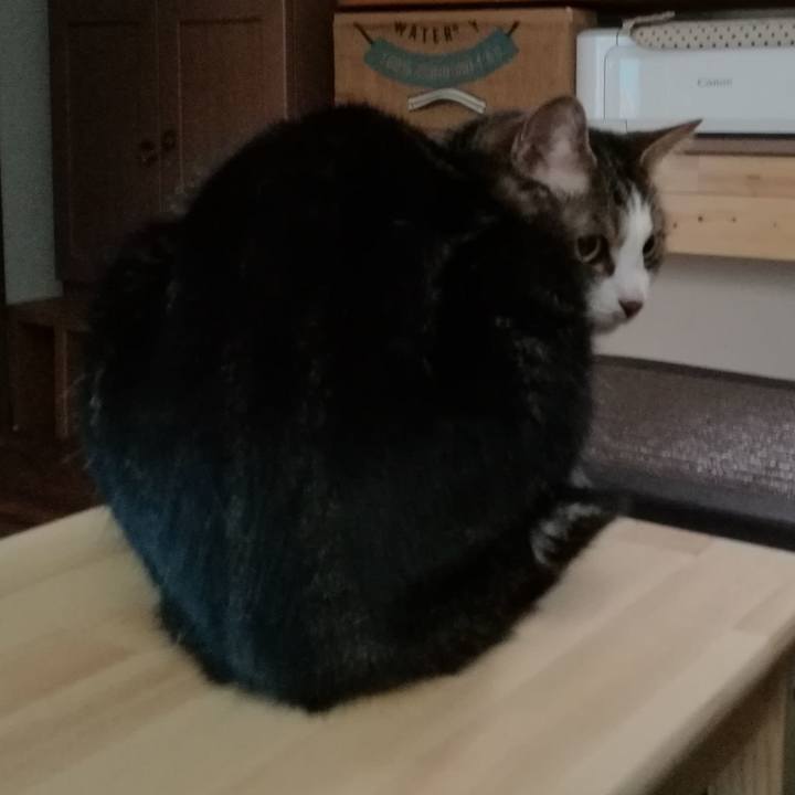 55b14cdb dc85 42e0 aff2 9593689570a0 1559812452827