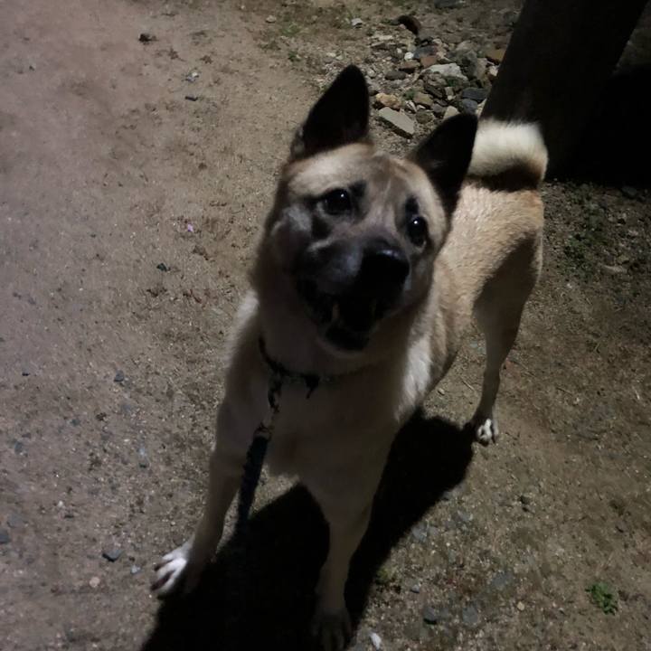 55b15a46 5ad2 4a1f 8a40 0a67871128b5 1605614733075