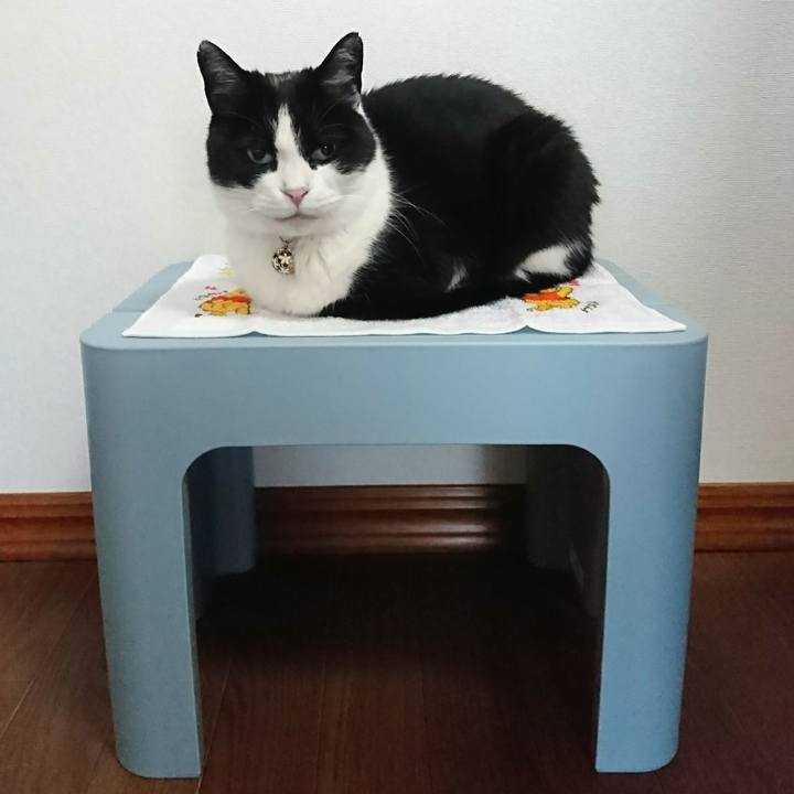 55b18dec 6e9c 46c3 82ef f9aa15913f82 1589150879822