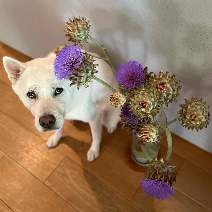 55b1c897 fe6a 4da1 b2a6 4c7d568824f3 1752902163789