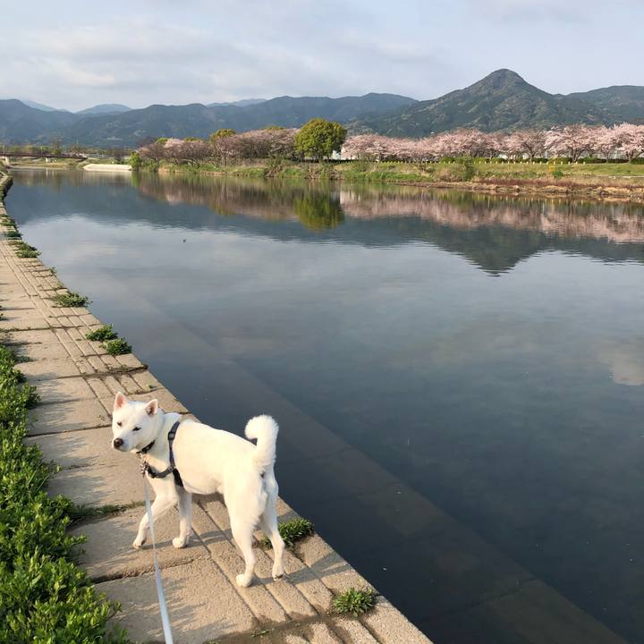 55b20094 563c 4dac b977 f8d4fe110837 1586391994025