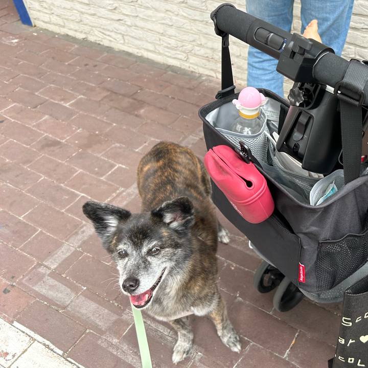 55b24644 ba78 4bb5 bcd1 e51601711f32 1719181713274