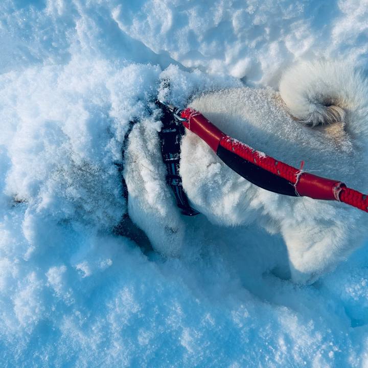 55b26834 3794 4add b7fc 75904202ee6b 1740177707021