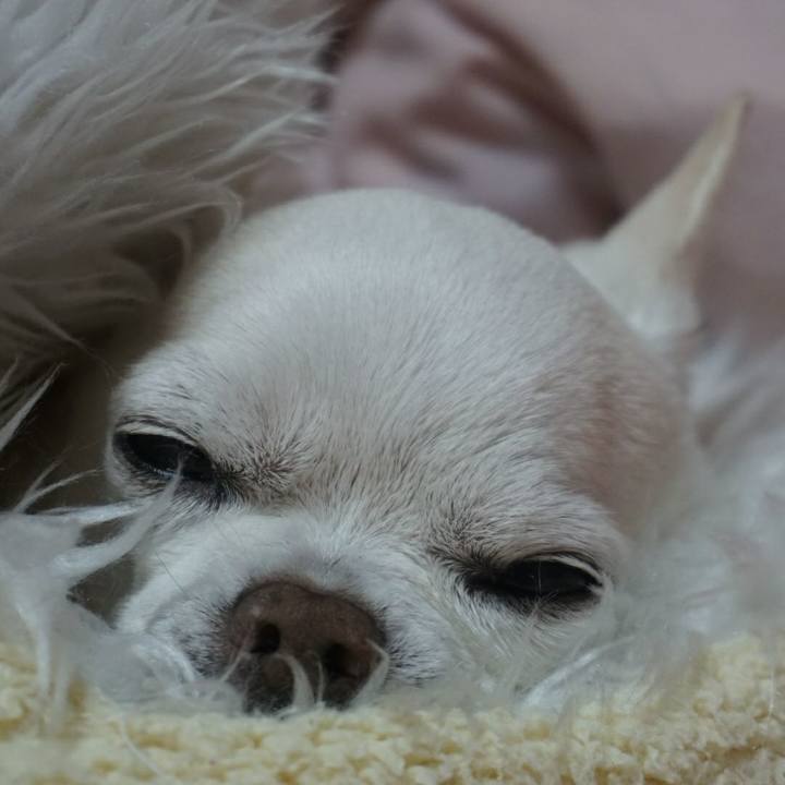 55b2722e deb6 472a 8549 3ad64e4af441 1532555179979