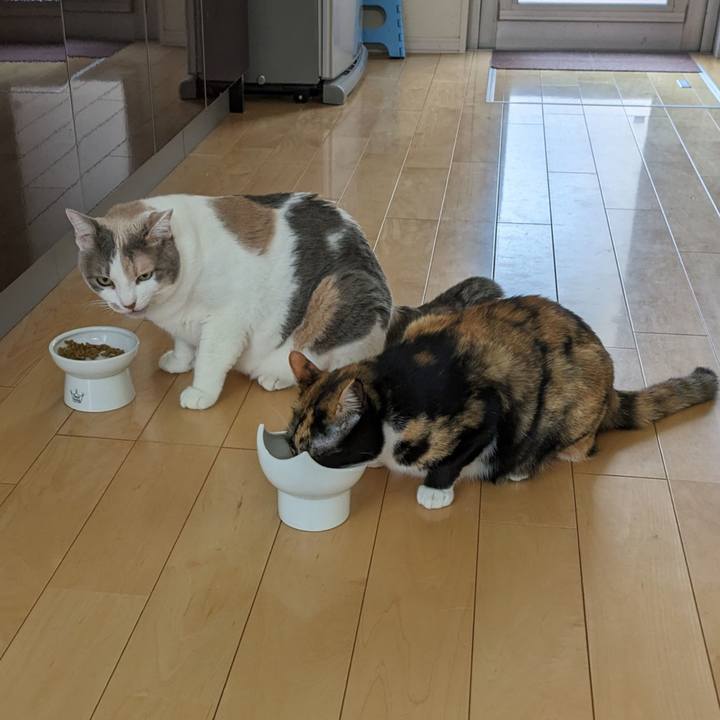 55b2a3da 384c 4797 8724 7c657f004d62 1718434426853