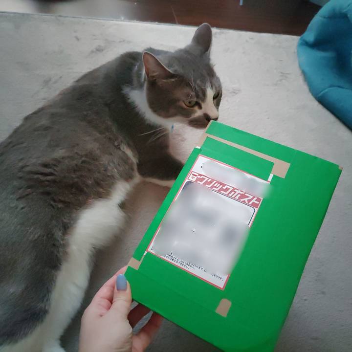 55b2b415 438a 442d b7a8 19e96f3f5782 1658742263440