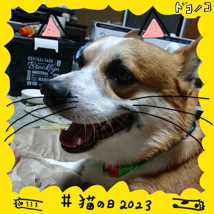 55b2cf8e 07df 4be4 b163 397a753eefff 1677023880869