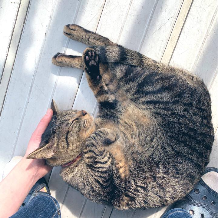 55b30d3b f0c7 4581 8d70 9533de68f104 1553071562295