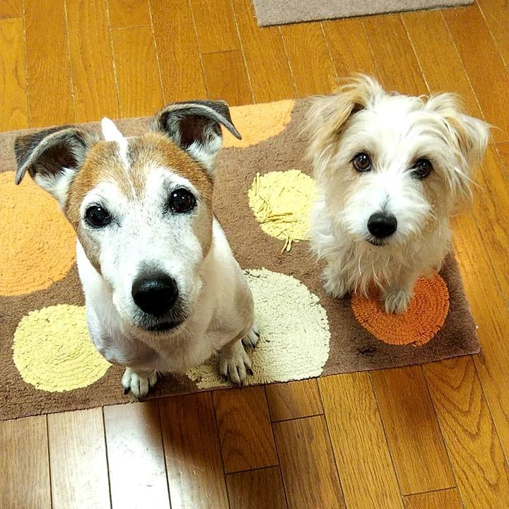 55b36821 ab4a 4274 b052 732bac7f39e5 1570140984457