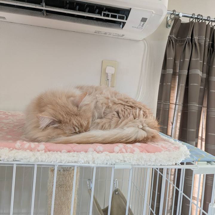 55b3b20b 51bc 4235 9f10 7a0627f8b001 1740371718901