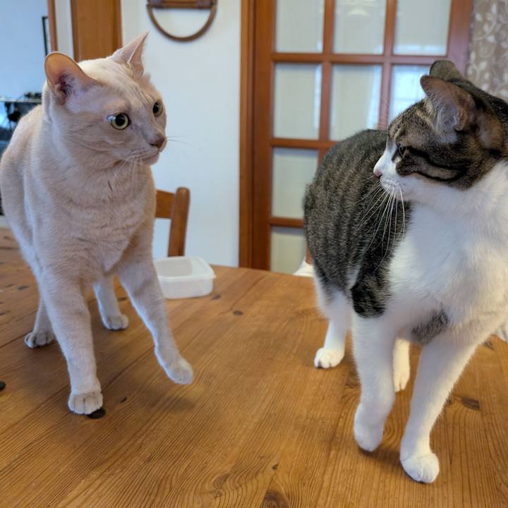 55b3c89c 615b 4a8a 96ec e84921e5f9c7 1762815344626