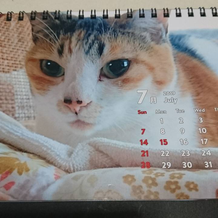 55b43d73 785c 4213 8feb 1dff936bfd92 1562397169346