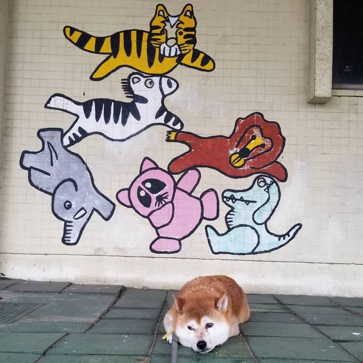 55b4403b 14fd 4b5c 8909 8246747b0e28 1570858840951