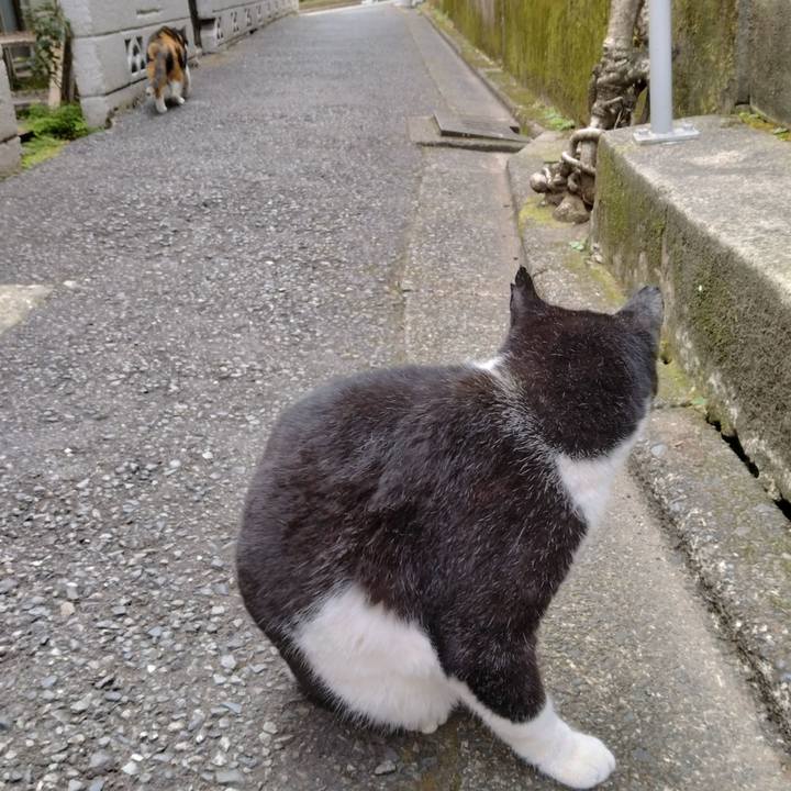 55b45c4d 3e60 4a51 b51a fd0f9dcc3b56 1699142001906