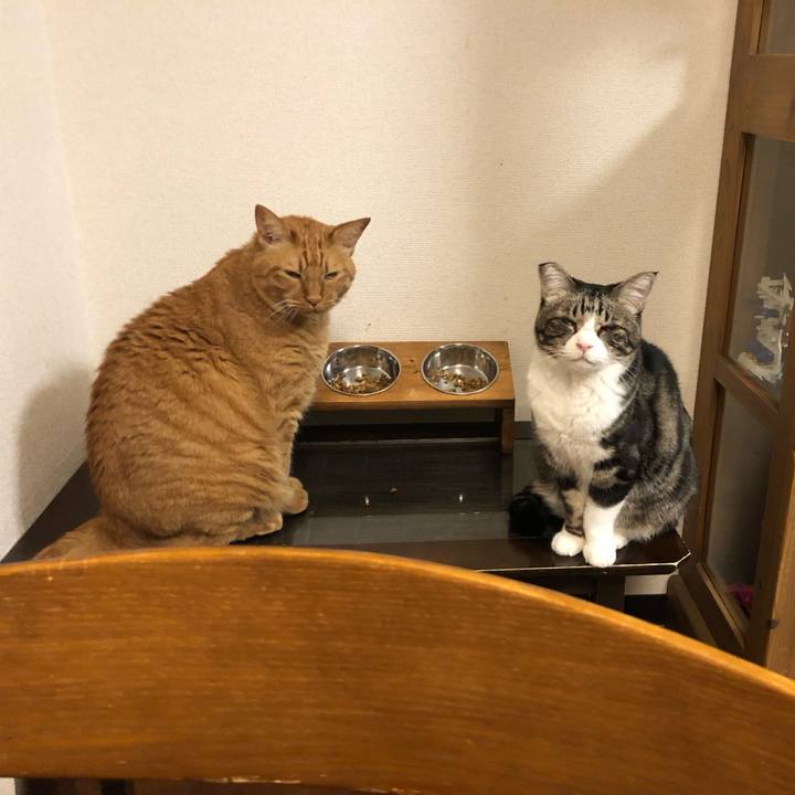 55b497f0 8e2d 4193 a64b dbcefed4efc1 1761570281925